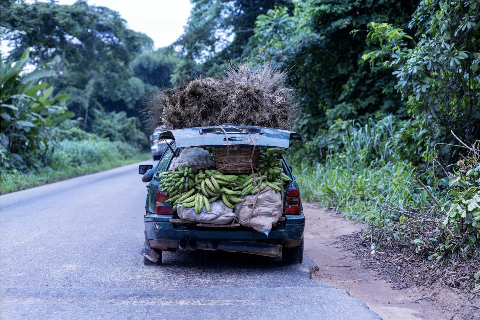 Competition to Collaboration